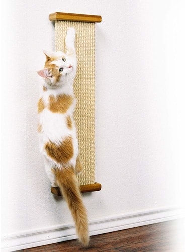SmartCat Bootsie’s Three-in-One Cat Scratcher Best Cat Scratching Post - SmartCat Bootsie’s Three-in-One Cat Scratcher